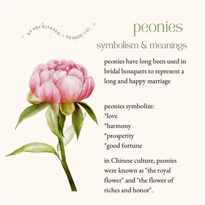 What do peonies mean?