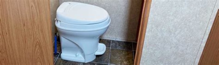 What do you put in an RV toilet?