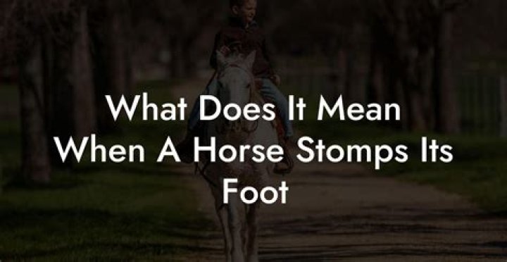 What does it mean when a horse sighs?