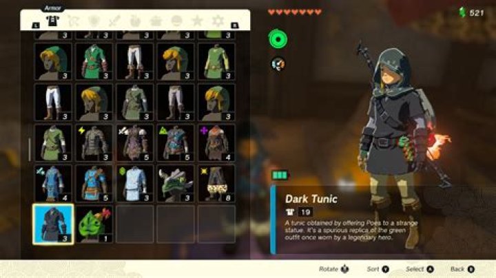 What does the dark tunic do Botw?