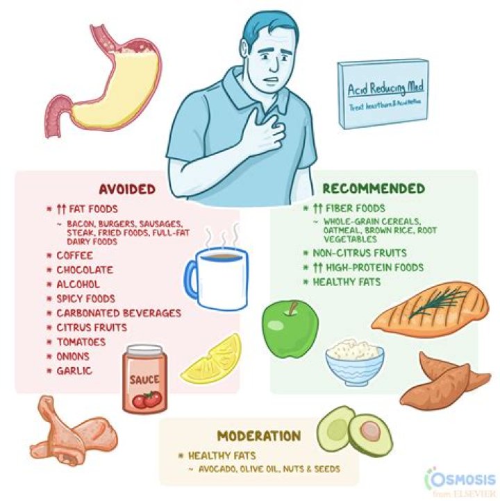 What foods shrink your stomach?