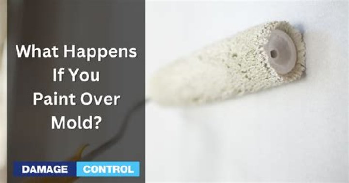 What happens when you paint over black mold?