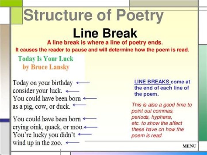 What is a line break in a poem?