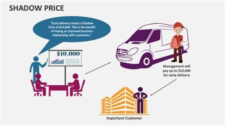 What is a shadow empath?