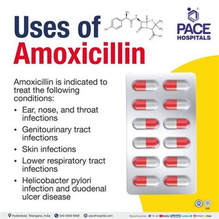 What is amoxicillin used for?