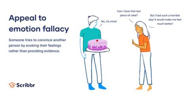 What is empathic fallacy?