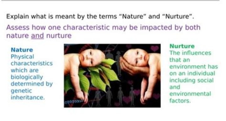 What is nature's perfect shape?