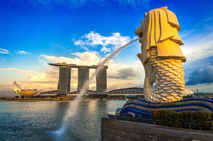 What is Singapore chain?