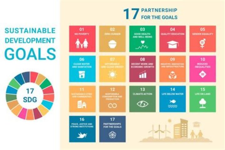 What is the target of SDG 12?