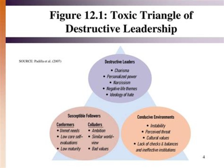 What is the toxic leadership triangle?