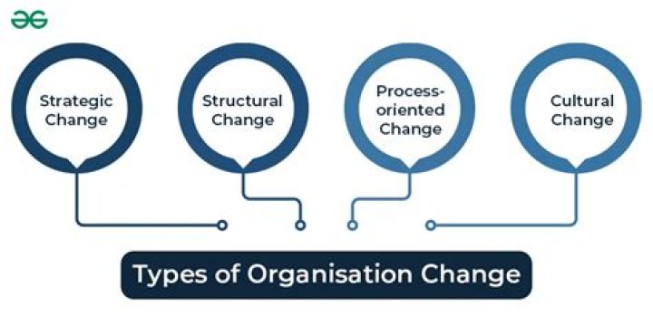 What is the types of organisation?