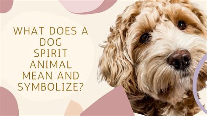 What is your dog spirit animal?