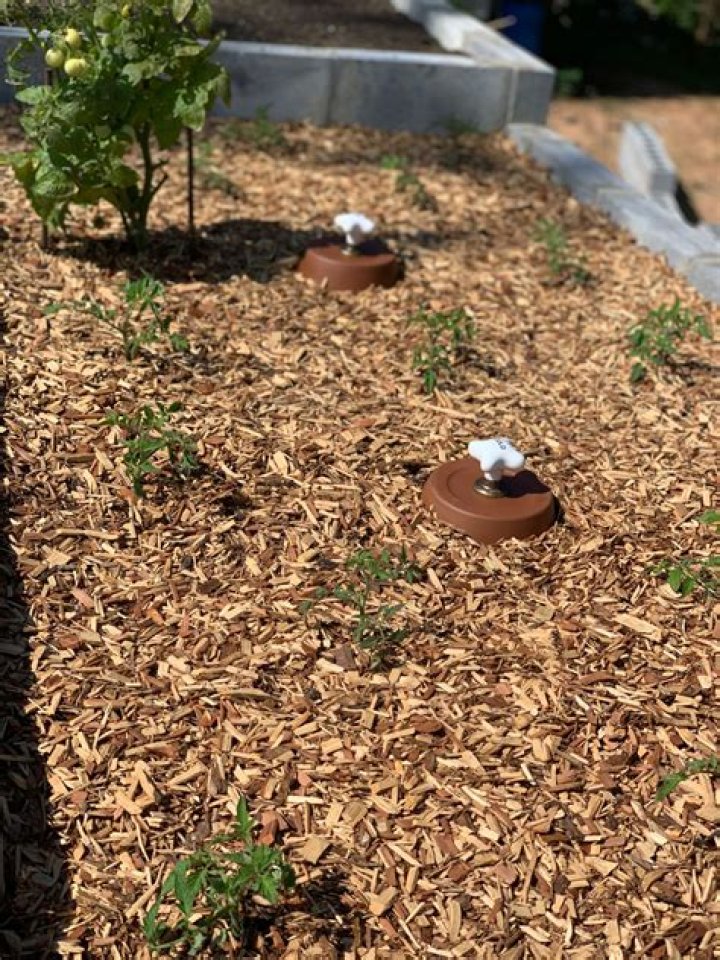 What kind of soil do I put in my raised garden bed?