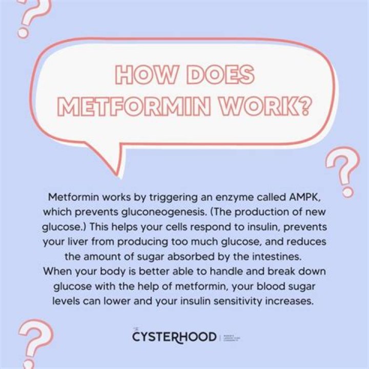 What other benefits does metformin have?