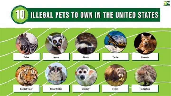 What pets are not illegal in California?