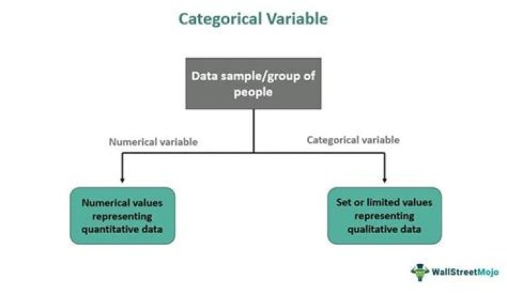 What would you use to summarize a categorical variable?
