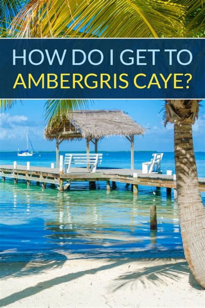 Where can I get ambergris?