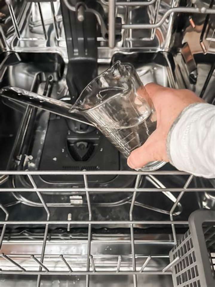 Where do you put vinegar in a dishwasher?
