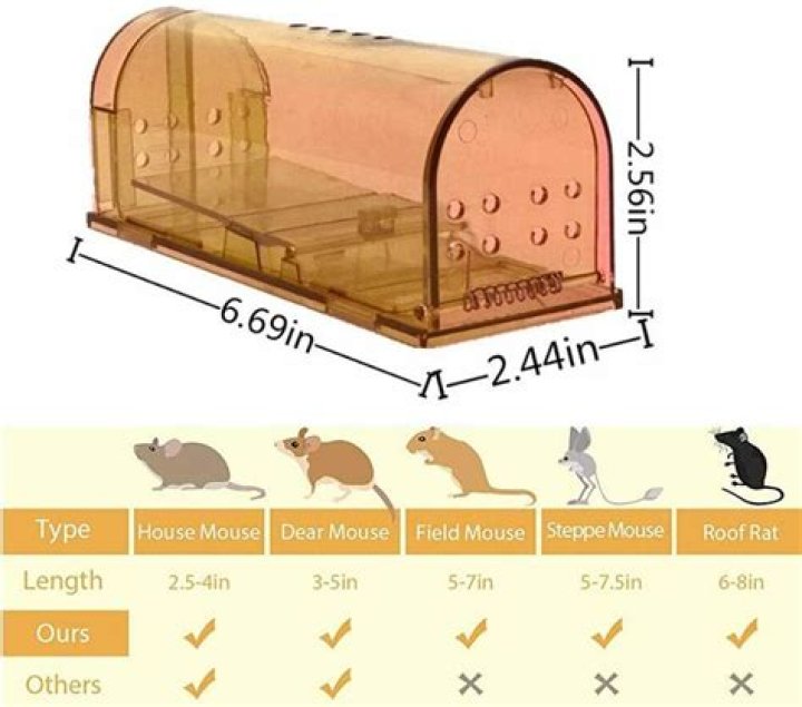 Where is the best place to release a mouse?