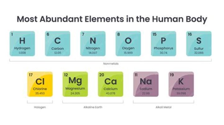Which of the following atomic elements make up life Select all that apply?