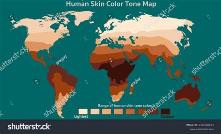 Which skin color is the most attractive?