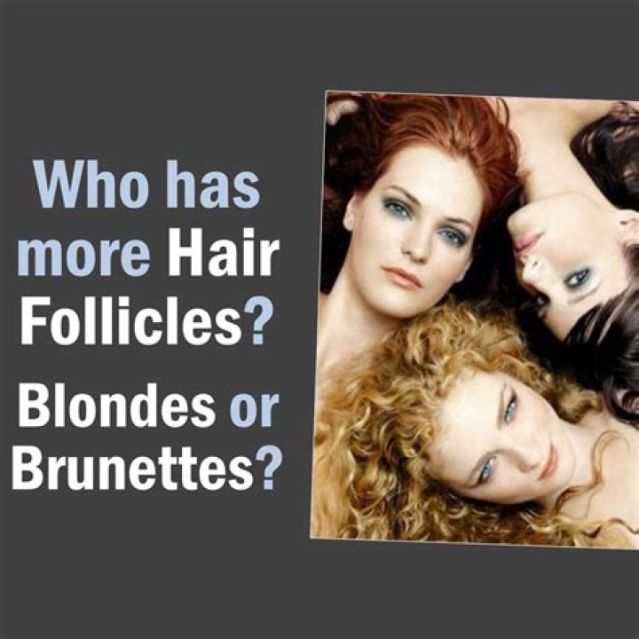 Who has more hair follicles blondes or brunettes?