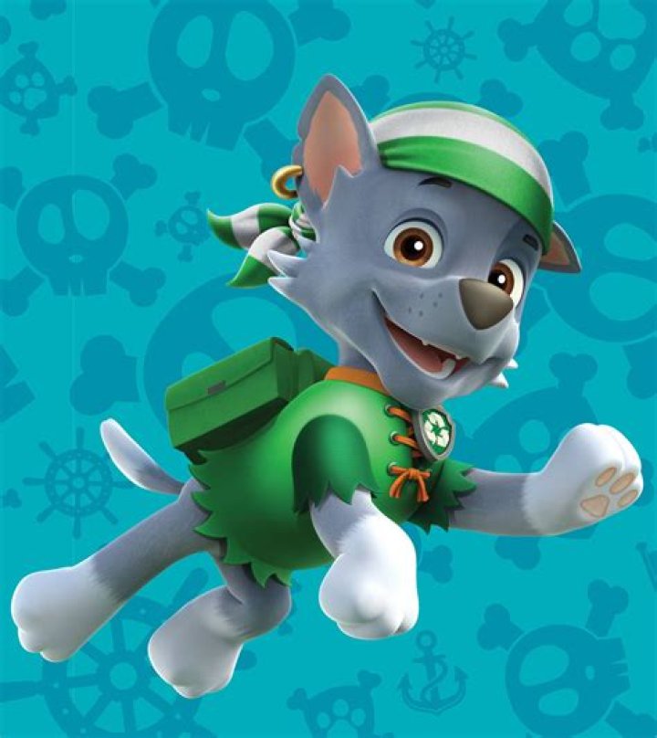 Who is the Green PAW Patrol?
