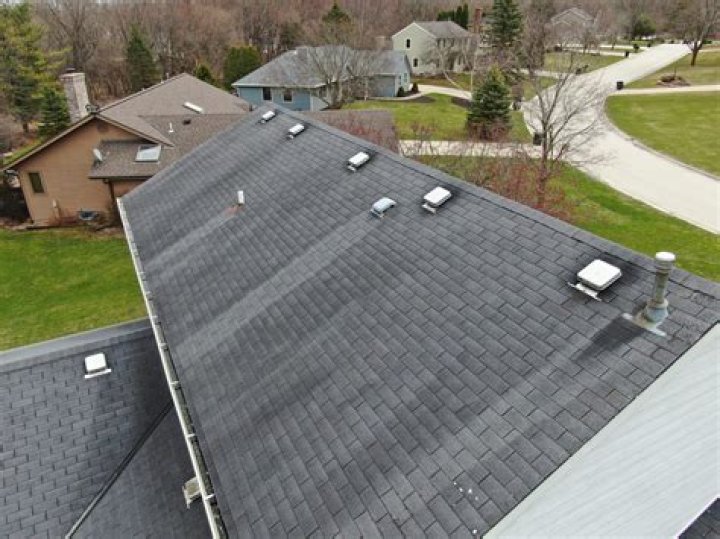 Why are my shingles turning black?