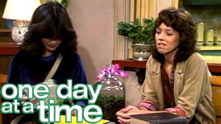 Why did Julie leave Max on One Day at a Time?