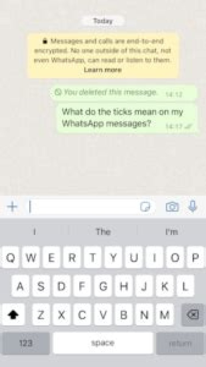 Why do some WhatsApp ticks stay grey?