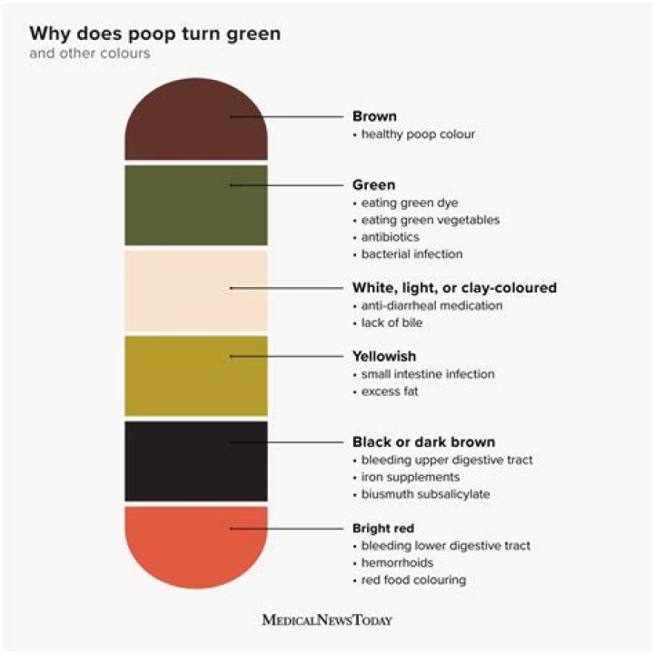 Why is child's poop green?