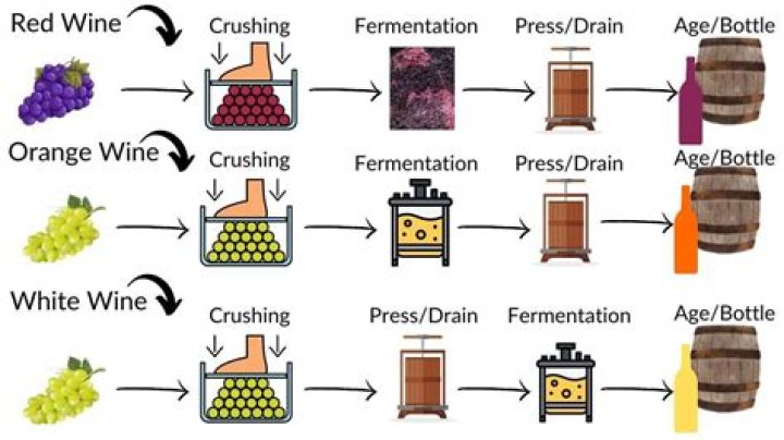 Why is wine not kosher?