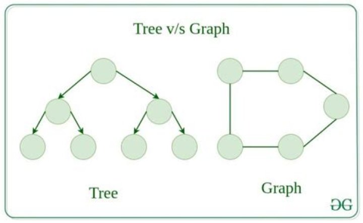 Why the graph is not a tree?